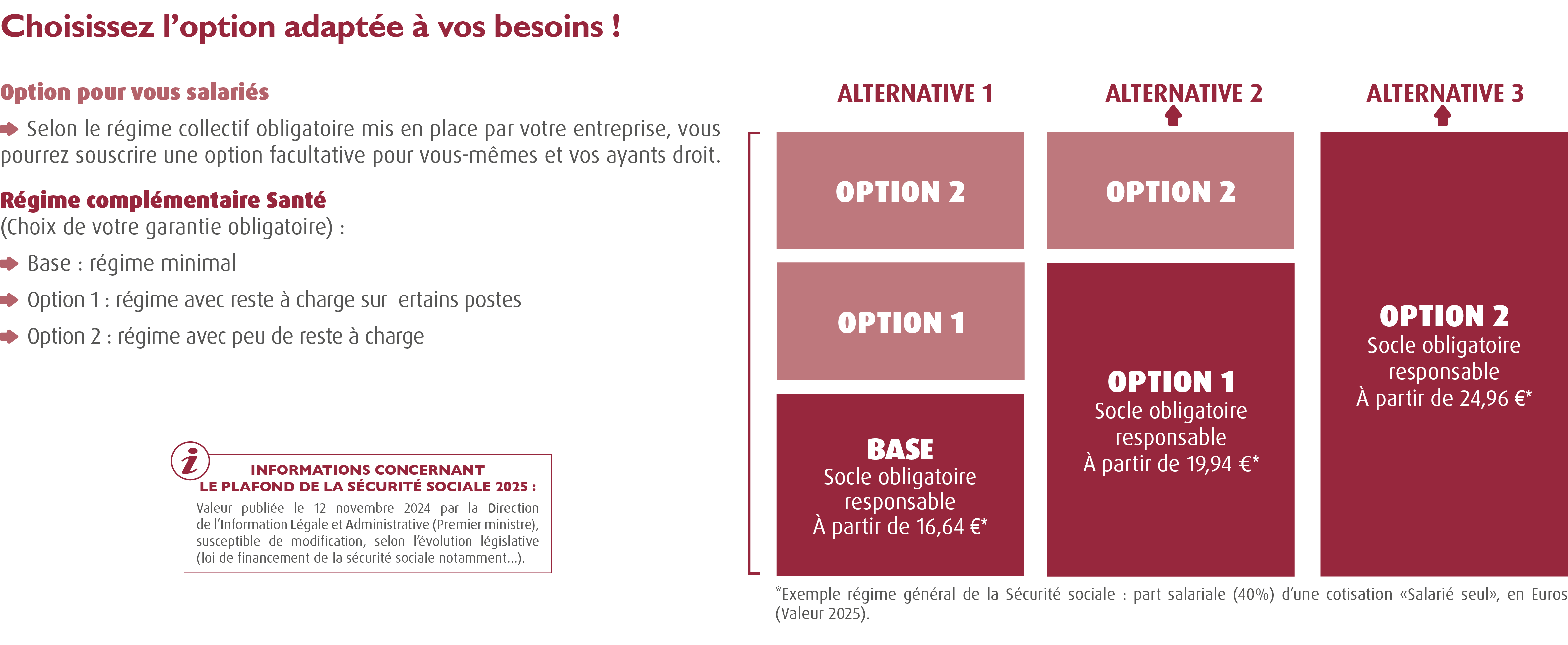 Complémentaire Santé CCN des Acteurs du Lien Social et Familial ALISFA - IDCC 1261 / Mutuelle CCN Acteurs du Lien Social et Familial - ALISFA . - Mutuelle ALISFA / Complémentaire ALISFA . Offre Umanens à destination des entreprises adhérentes au SNAESCO (Convention collective nationale des acteurs du lien social et familial : centres sociaux et socioculturels, associations d'accueil de jeunes enfants, associations de développement social local du 4 juin 1983 - Accord santé convention collective acteurs lien social familial alisfa) / mutuelle des acteurs du lien social et familial - 100% Santé : structure régime local de la sécurité sociale